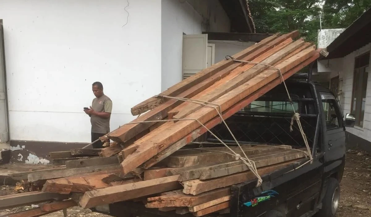 Jual Beli Kayu Bekas
